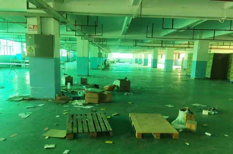 布吉凉帽山地铁站附近新出2楼整层2462平一手业主有红本出租