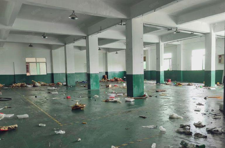 光明公明东坑重工业厂房出租（2楼550平一整层，现成吊机口）