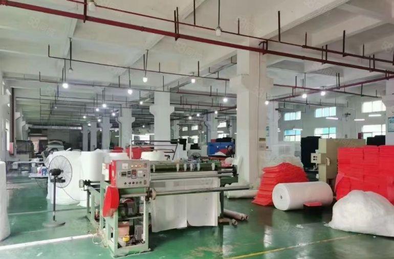 光明原房东厂房特价出租，1000平至6000平，环境优美