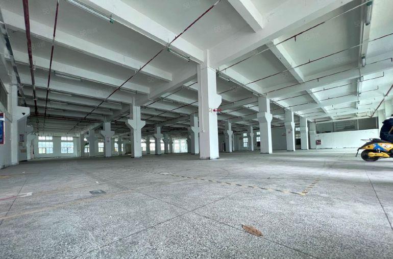 光明长兴原房东厂房出租5000平可分租1000平500平