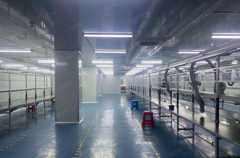 光明公明楼村，整层无尘车间1400平出租，无转让费