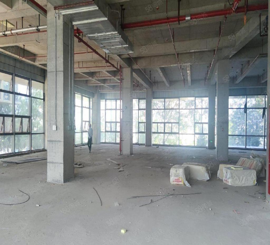 光明区红本高新研发厂房临近地铁6号线地铁站100平起租