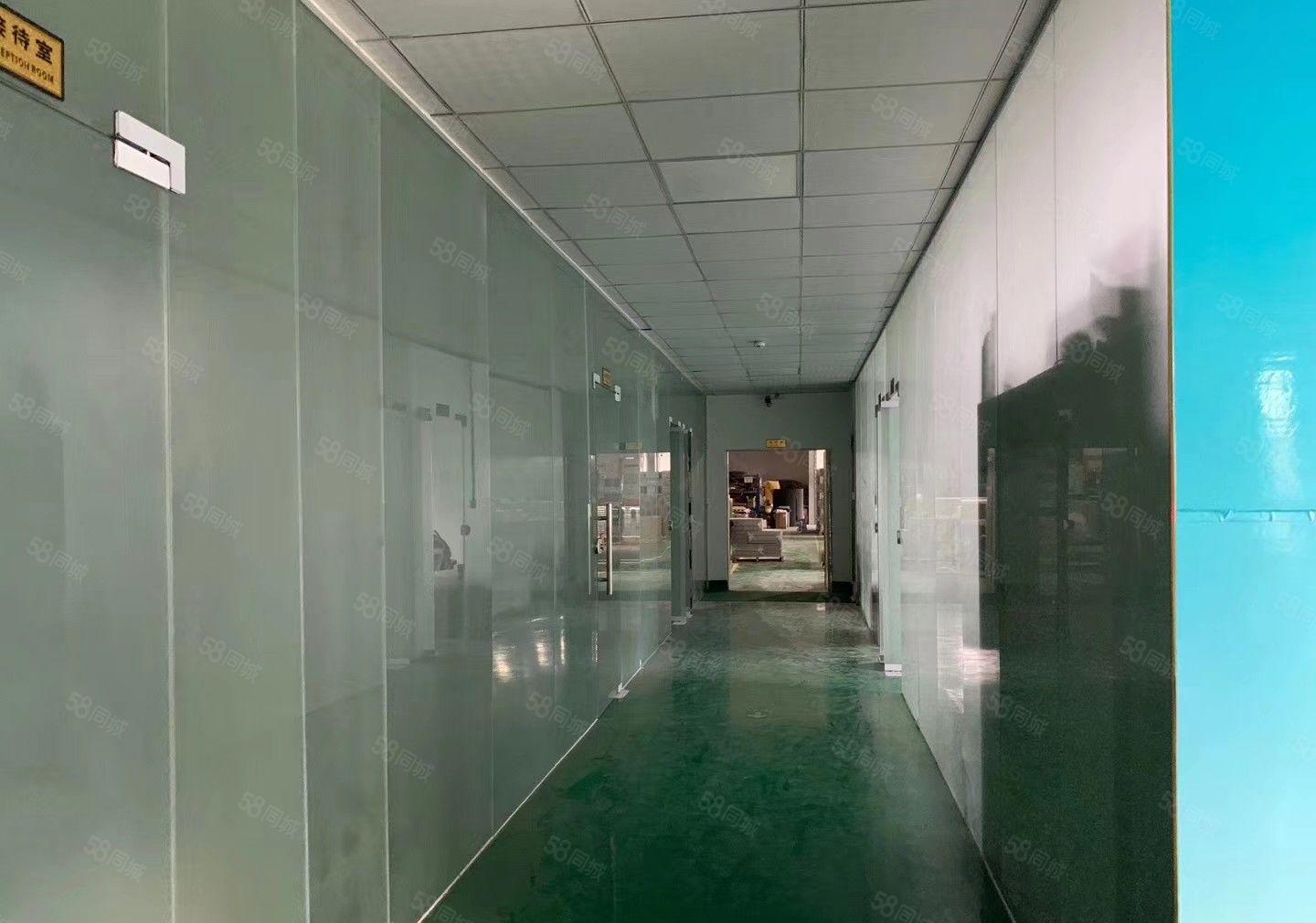 光明新区汽车站附近原房东红本厂房8800平招租