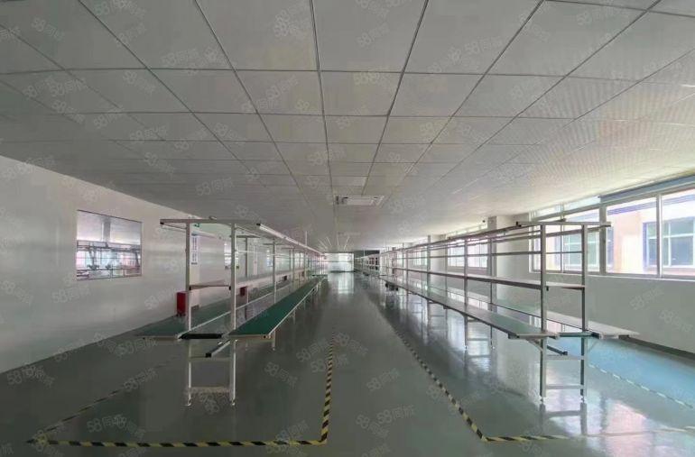 公明上村原房东独院5000平厂房出租，零公摊，（500起租）