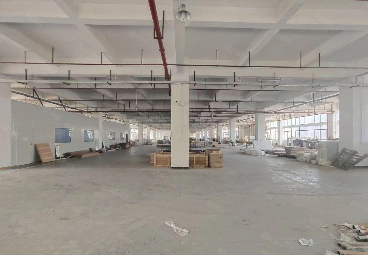 公明镇中心辉豪工业园新出原房东独院13700平米带装修