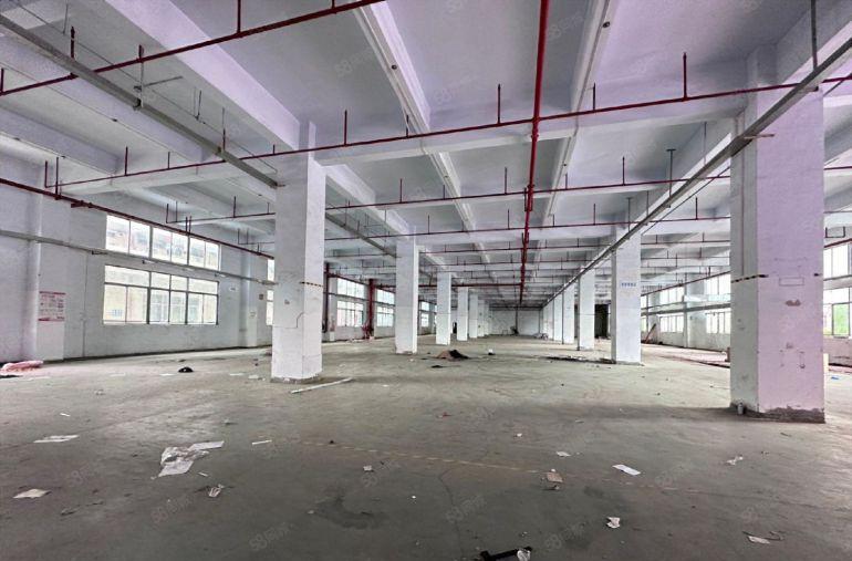 公明李松蓢原房东厂房一楼2500平，高6米，近高速口可进大车