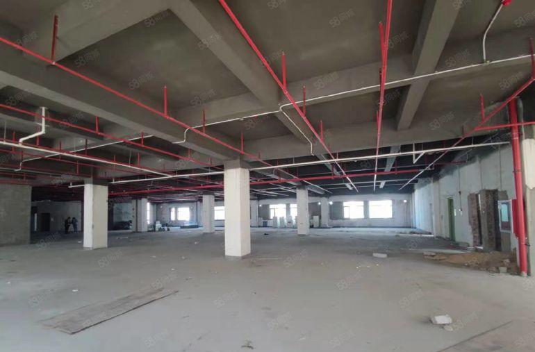 光明一楼800平方大小分租带消防喷淋红本厂房仓库出租空地超大