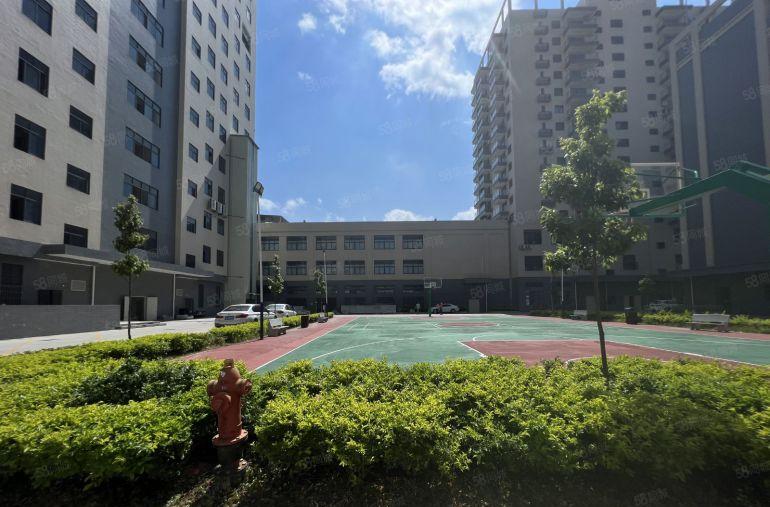 光明国企高新企业开发商直租厂房2300平方出租带租金人才补贴