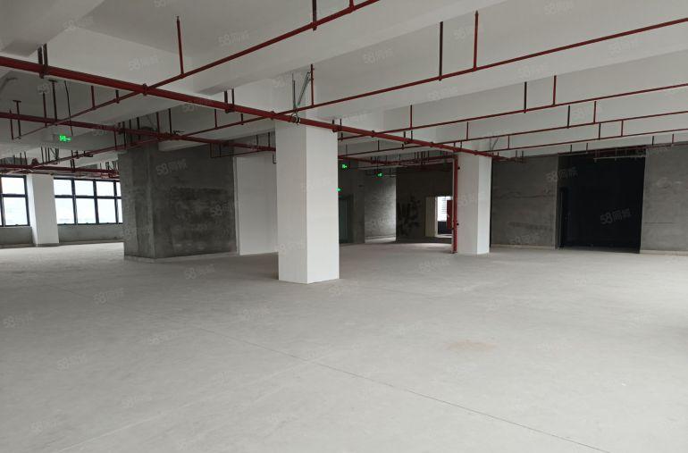 光明1200平起全新厂房分租国资委红本厂房原房东实际面积招租