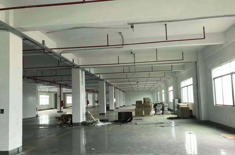 公明楼村重工业厂房3100平层高4.5米带消防喷淋分400平