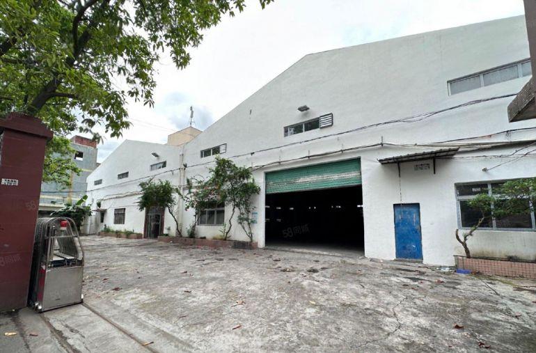 公明原房东独院厂房钢构2800平，滴水8米，现成阁楼办公室