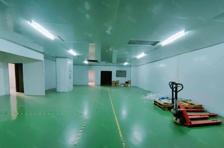 公明田寮无尘车间厂房出租（600平适合电子，显示屏，LED）