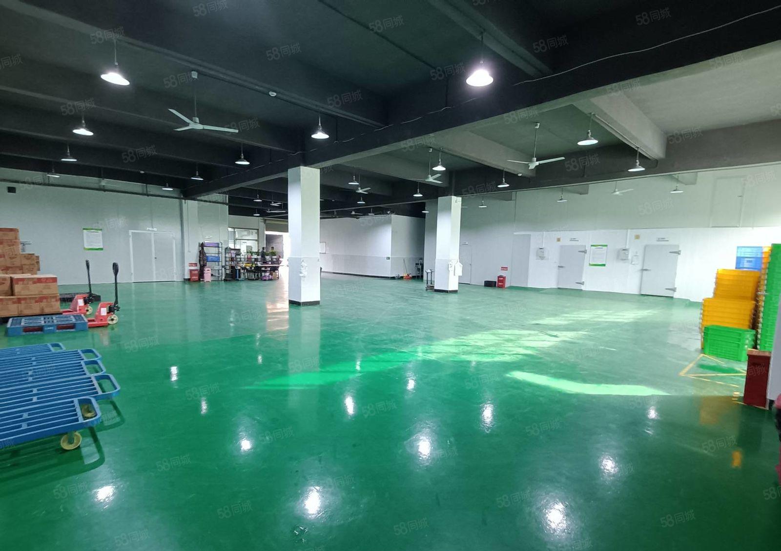 200平起租 公明主干道红本厂房一楼1500平出租现成办公室