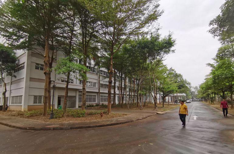 18元起租光明公明合水口地铁口厂房出租100平方分租一楼仓库