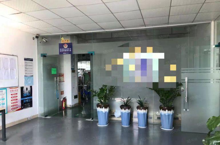 公明上村特价19元出租厂房，仓库（900平一整层使用率极高）