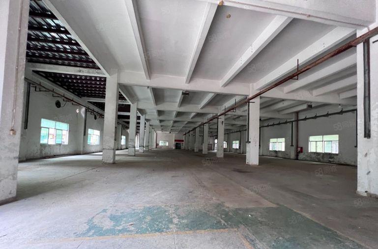 光明田寮200平起分租独院5000平带装修厂房仓库出租转租