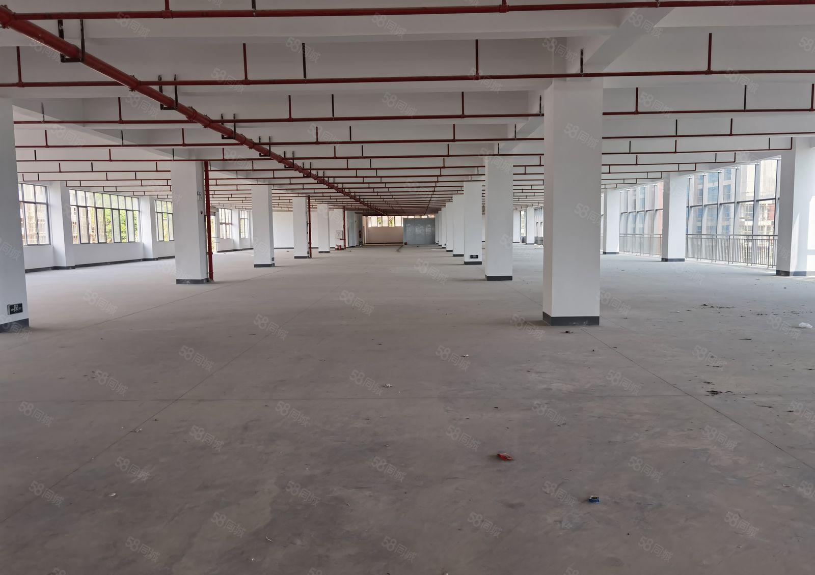 （光明高新区红本全新花园式厂房30万平米）房东直租可分租