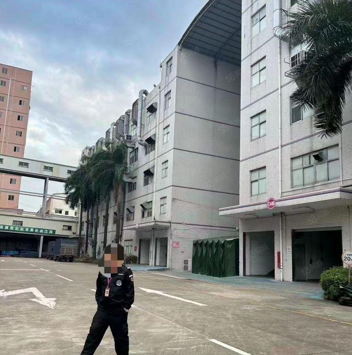 光明公明特建发直租（4000~5万平无公摊，大小可分）交通好