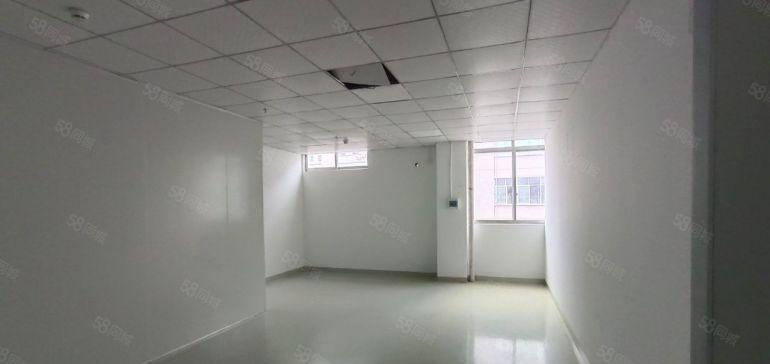 光明红本大园区楼上厂房出租1920平 精装修含税 配套齐全