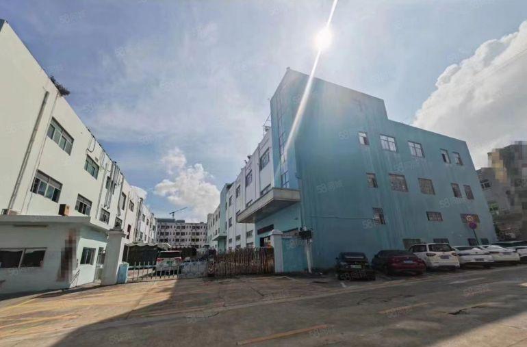 出租大马路边上独院厂房公明上村6600平豪华装修，广告效应好