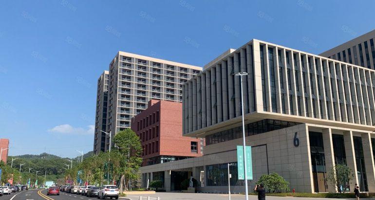 带租金补贴光明房东直租松白路边无公摊红本花园厂房400平起租