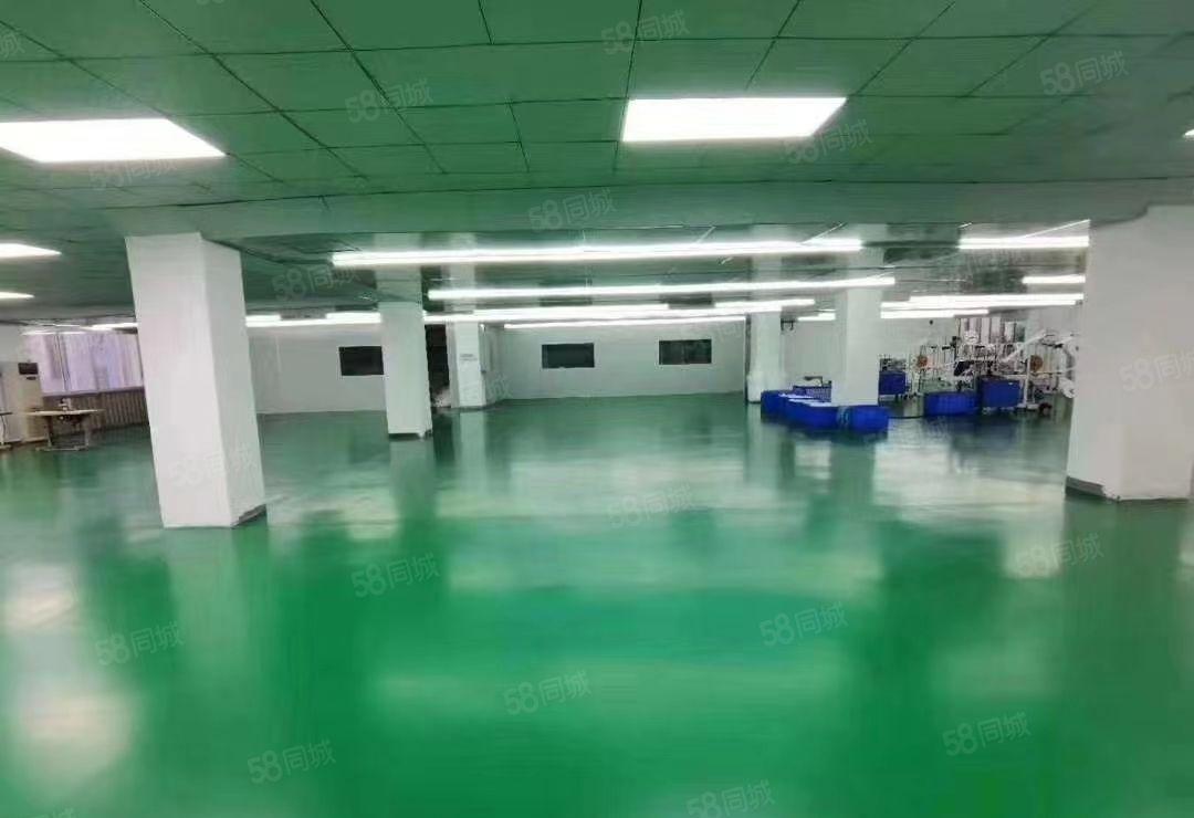 公明田寮松白路时光工业园2380平带无尘车间厂房出租无转让费