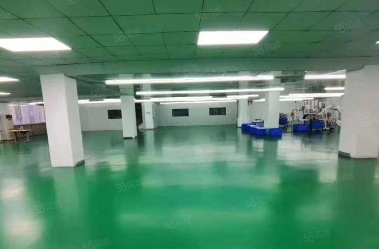 公明田寮松白路时光工业园2380平带无尘车间厂房出租无转让费