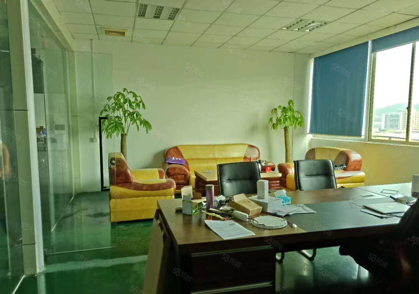 光明靓盘推荐楼上精装1000平适合电子，线材，设备等公明长圳