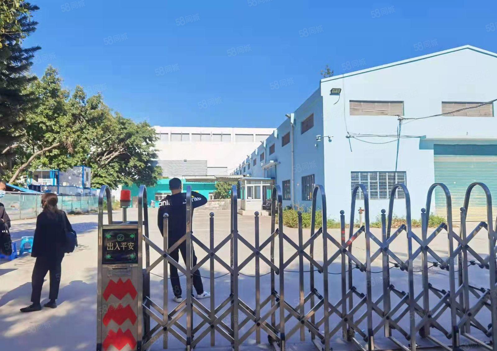 公明独院钢构出租6300平，可做生产，仓库，带红本，空地超大