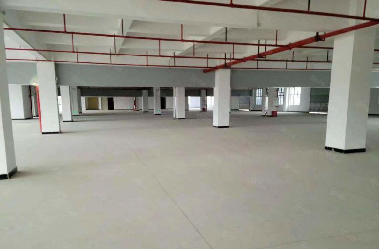 13元租全新红本厂房1000~4300平可做纸箱，仓库，电子