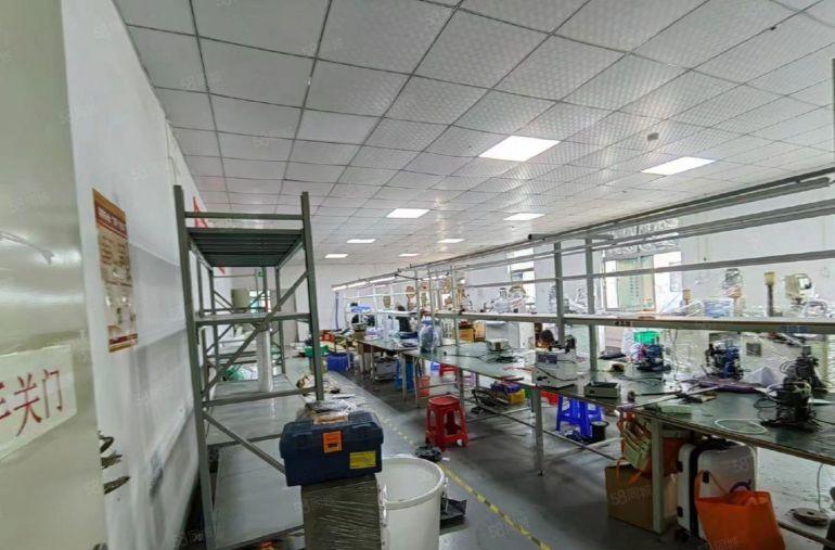 光明红星独院厂房出租5000平方 空地大 大小可分租行业无限