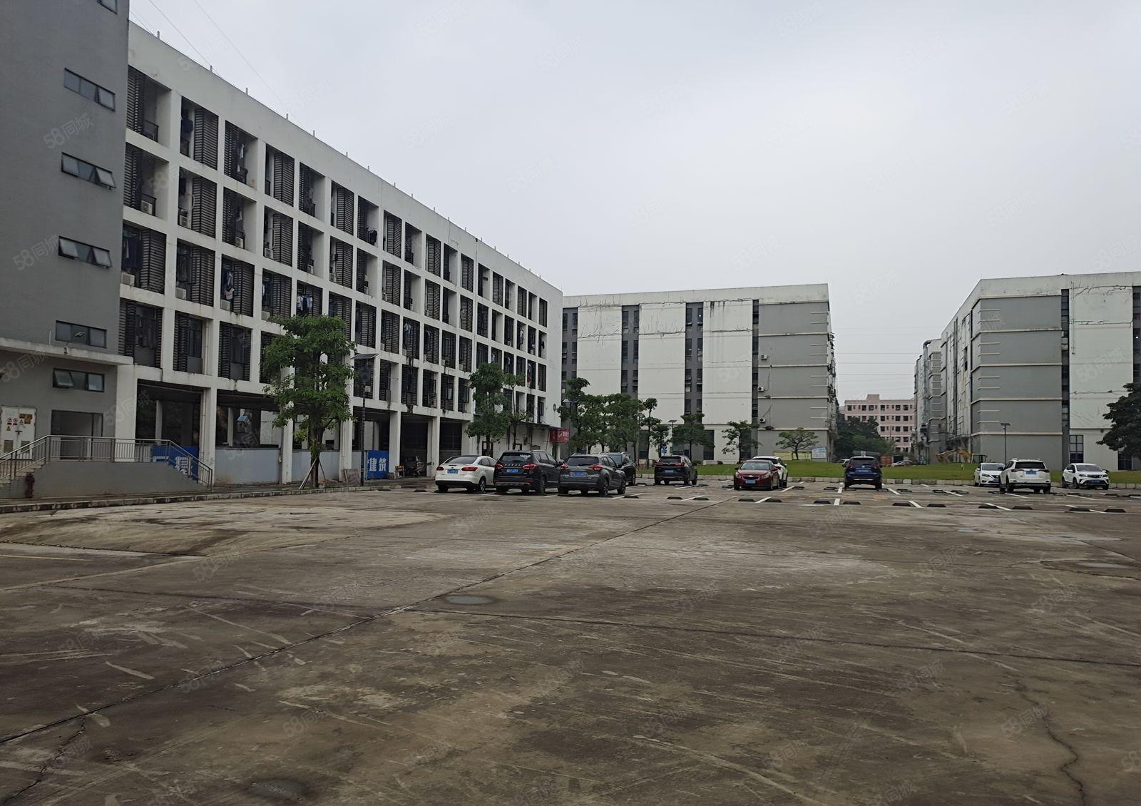 光明无尘车间1300平厂房出租，现成精装办公室，无转让费