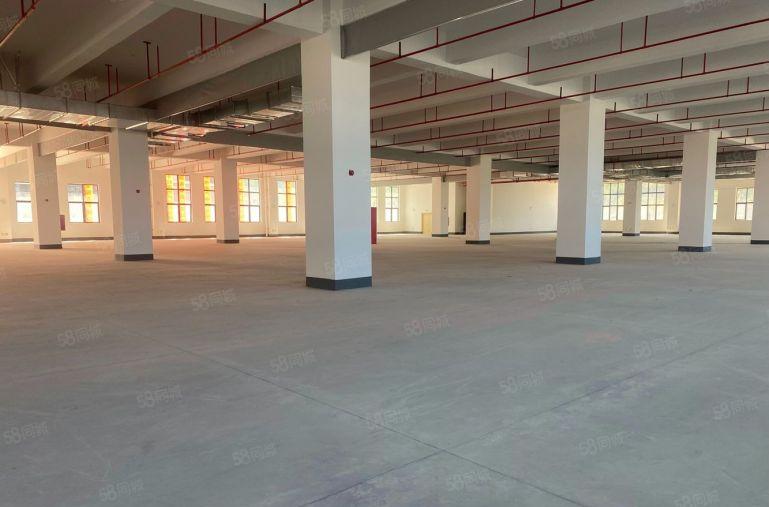 光明玉律原房东全新红本产业园500平方起租享受光明高新补贴