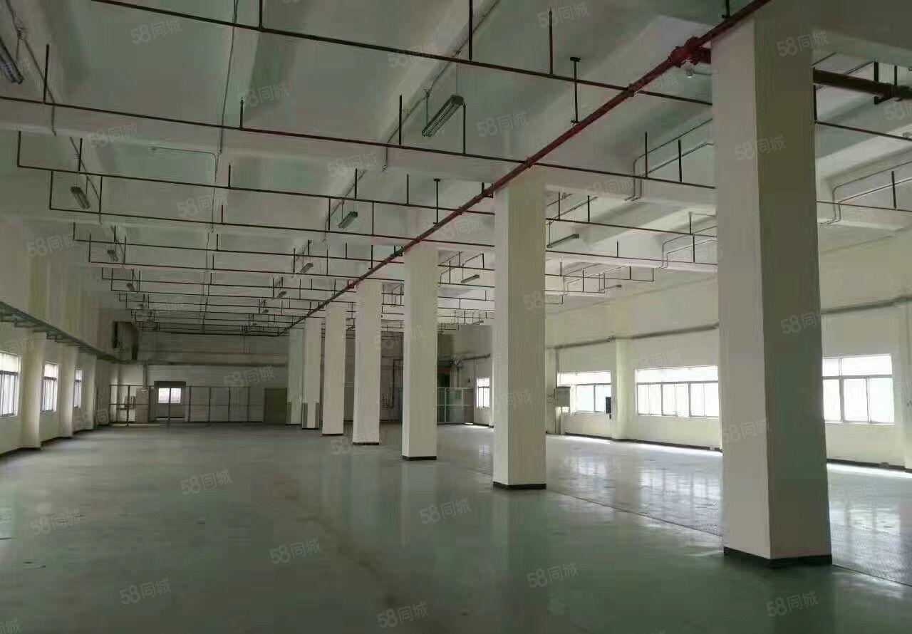 原房东红本厂房实际面积出租单层面积约9000整栋5万平米出租