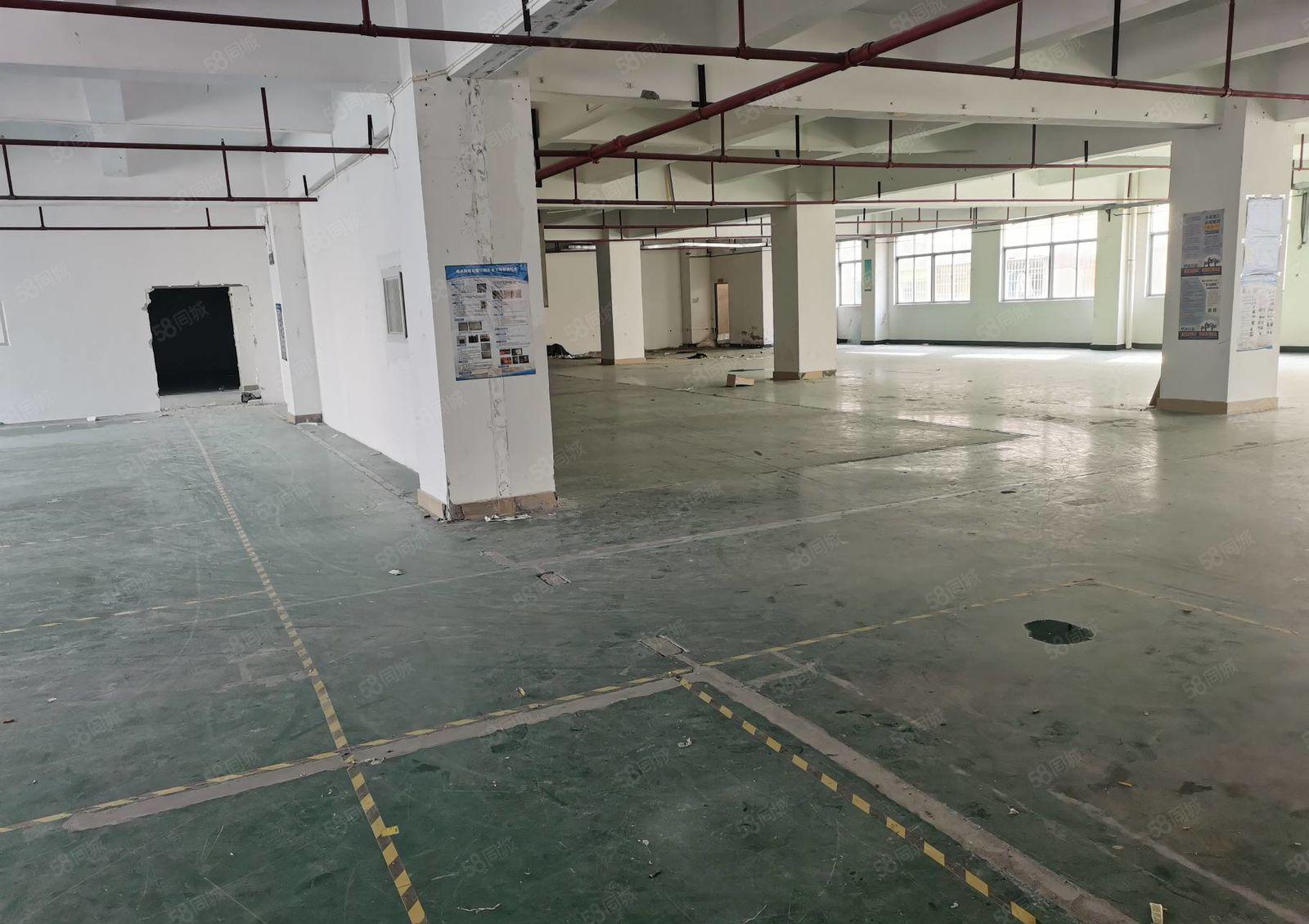 公明主干道村委1300平低价仓库厂房出租