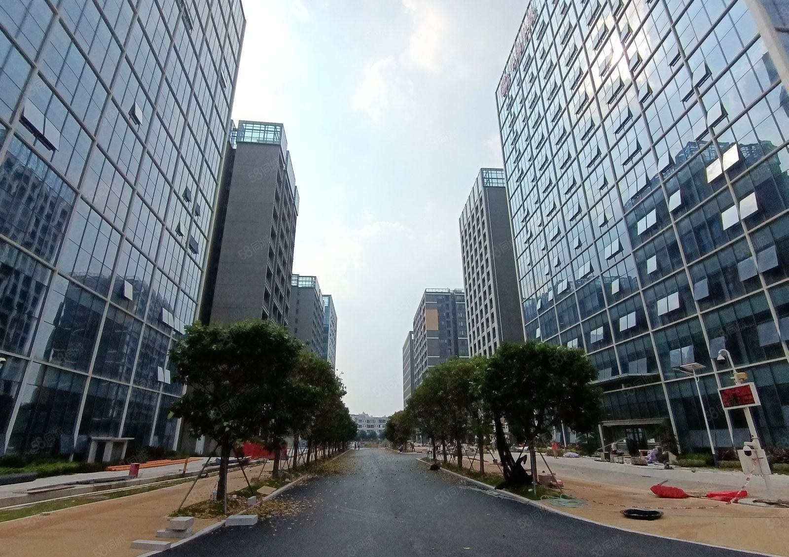 免租半年 租金减半光明地铁口研发厂房出租100平至2000平