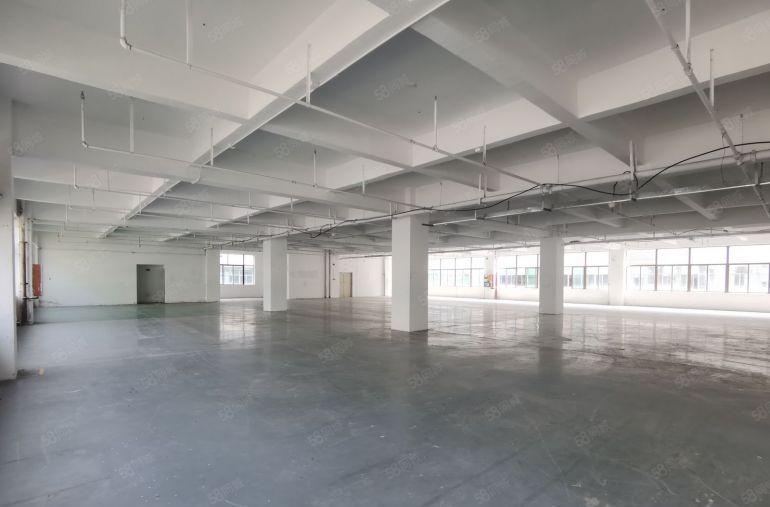 光明新健兴园区1000平起租厂房出租独院电子电商五金仓库等