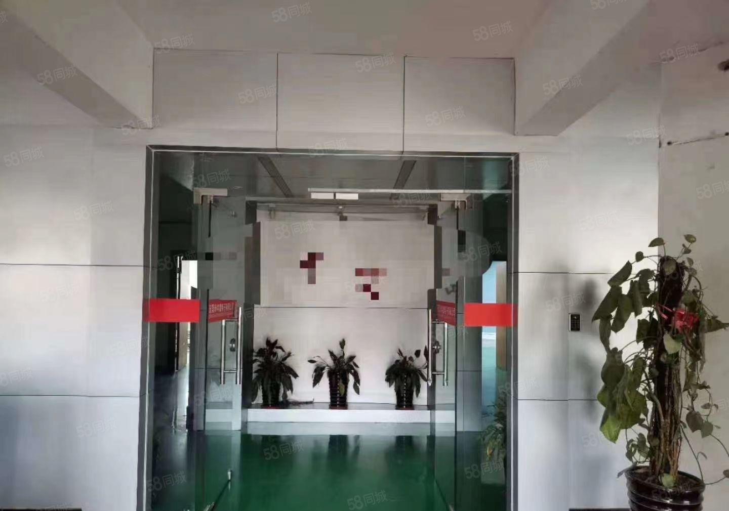 光明塘尾新出楼上800平精装修厂房