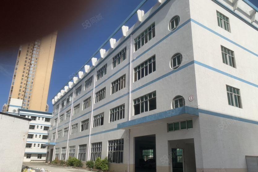 公明汽车站新出原房东独门独院8000平方厂房出租