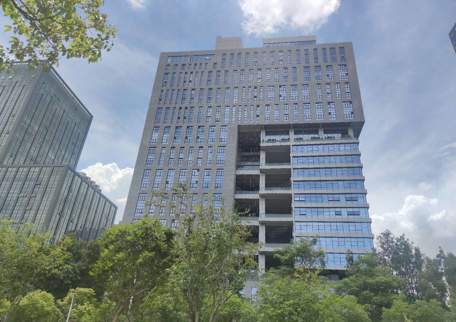 全年免租光明区工业上楼研发厂房写字楼出租项目可分租