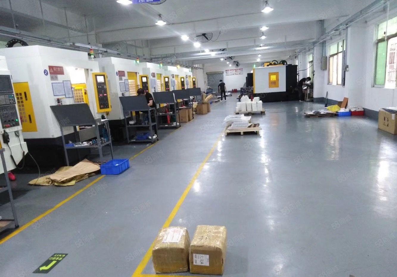 公明将石新出原房东独门独院5000平方厂房招租