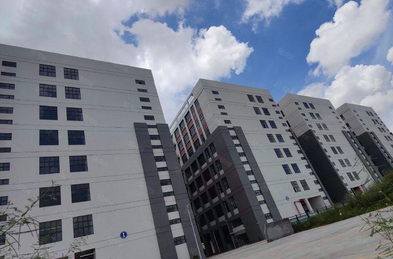 光明原房东实际面积出租90000平厂房出租可分租