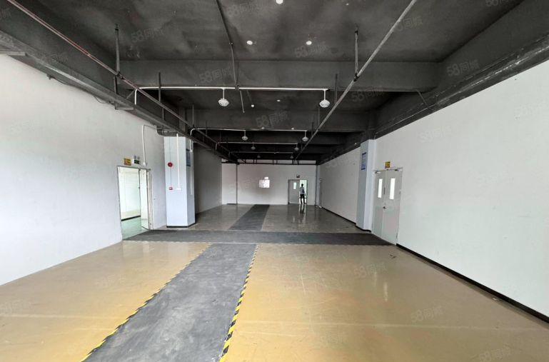 20元起田寮1260平精装修水电齐全双货梯送空中花园露台