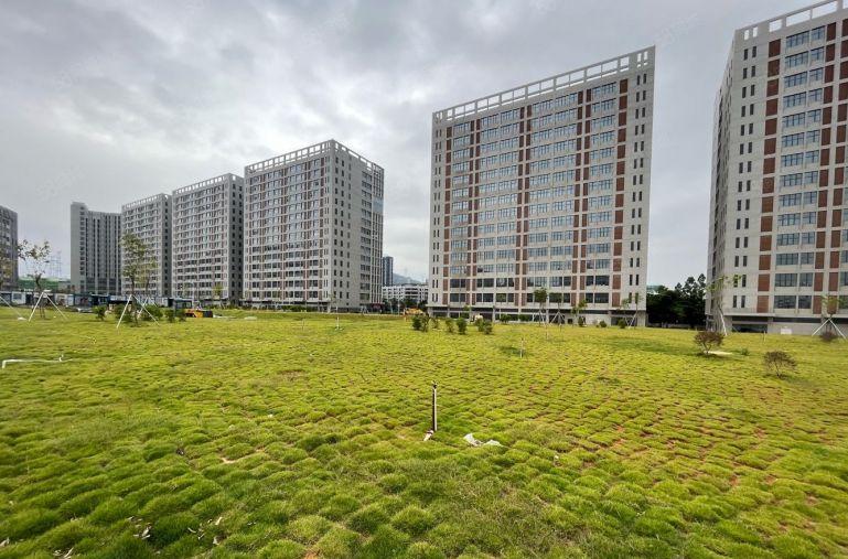 光明新建红本工业园32万平，单层3205平，大小面积可分租