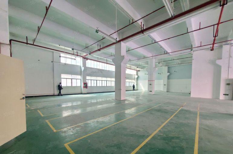 光明科技园独栋厂房6000平低价出租带装修大小可分可办环评