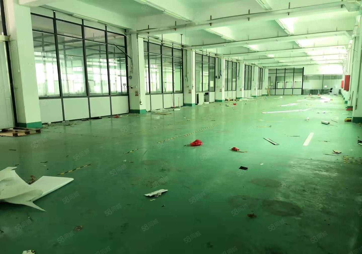 公明原设备厂2400平出租，分400平（1楼860平，精装）