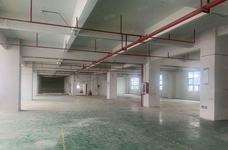 光明区公明上村原房东独门独院三层共4500平厂房出租