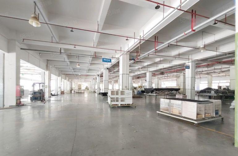 光明红星独院厂房出租8000平方 超大空地 大小可分租