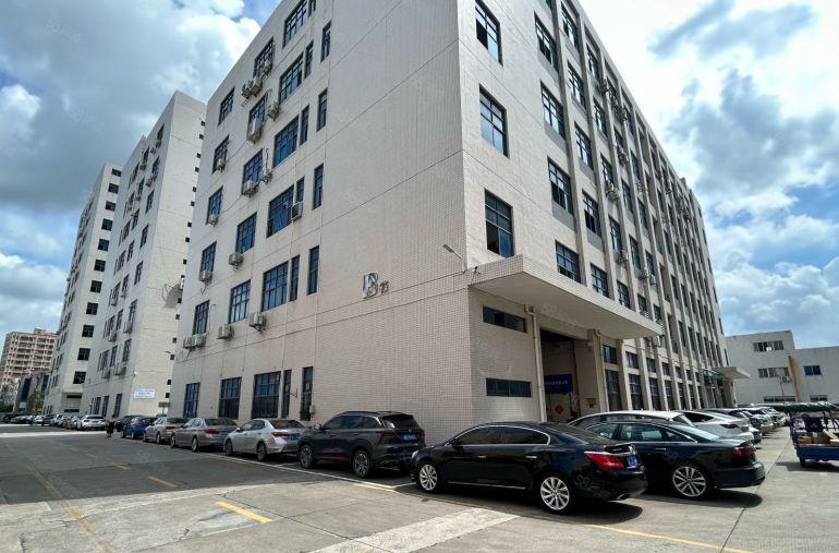 光明新围600平800平1000平，2400平厂房仓库出租