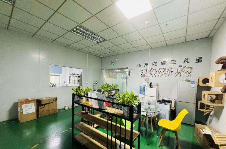 马田街道钟表基地5楼1500平方至3楼500平精装修厂房